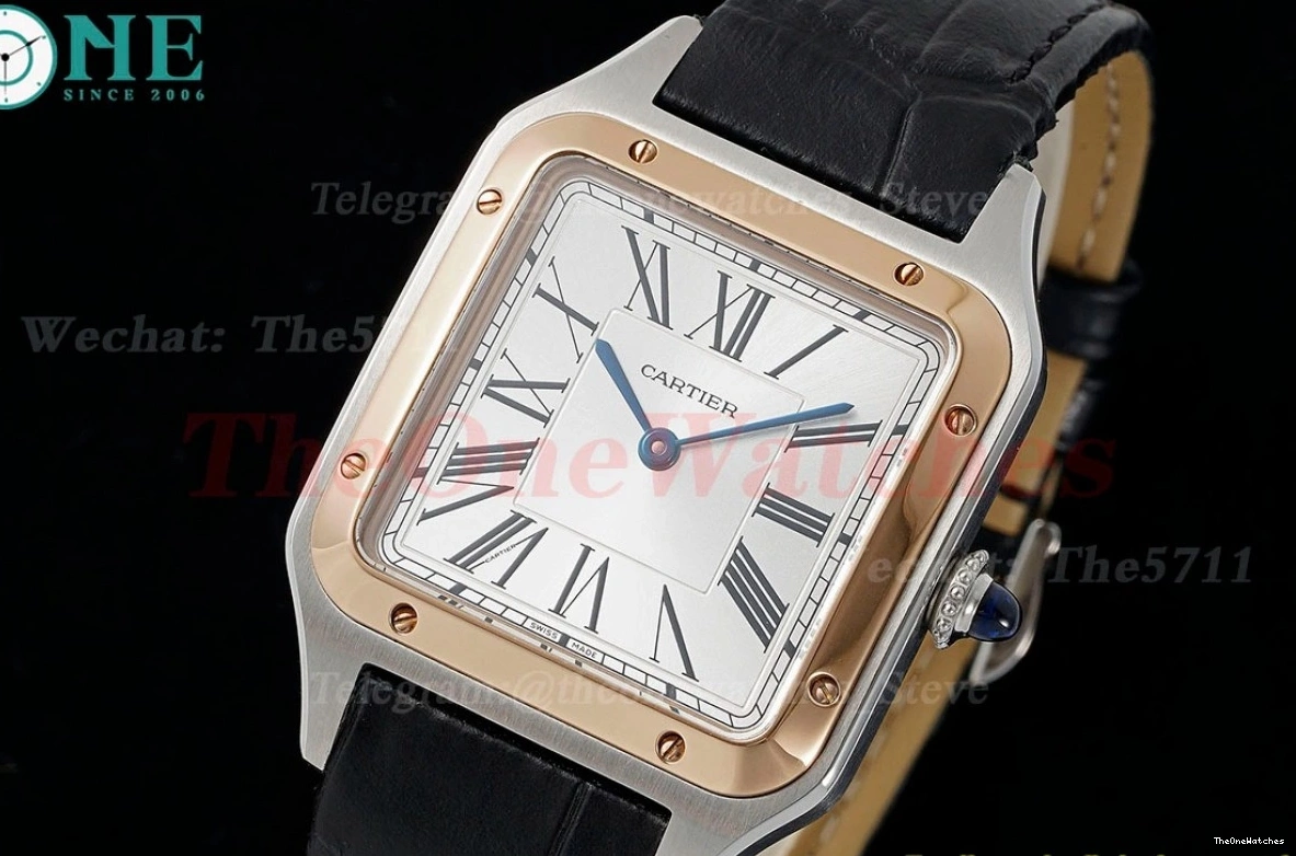 Dial Dumont Quartz Silver Santos Black AF LE RG 0204